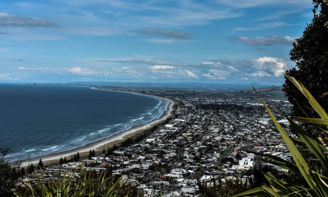 Up In The Stars B&B Tauranga Exteriör bild